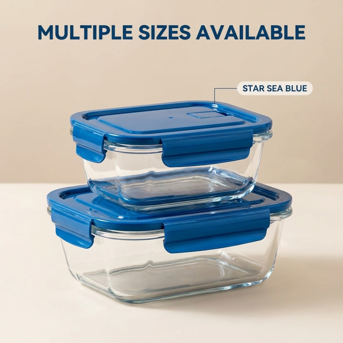 2 Pack Glass Lunch Box Borosil - đánh giá và giá Meal Prep Diet