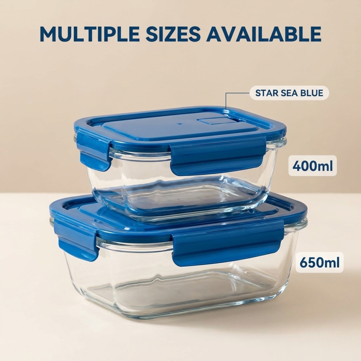 2 Pack Glass Lunch Box Borosil - đánh giá và giá Meal Prep Diet