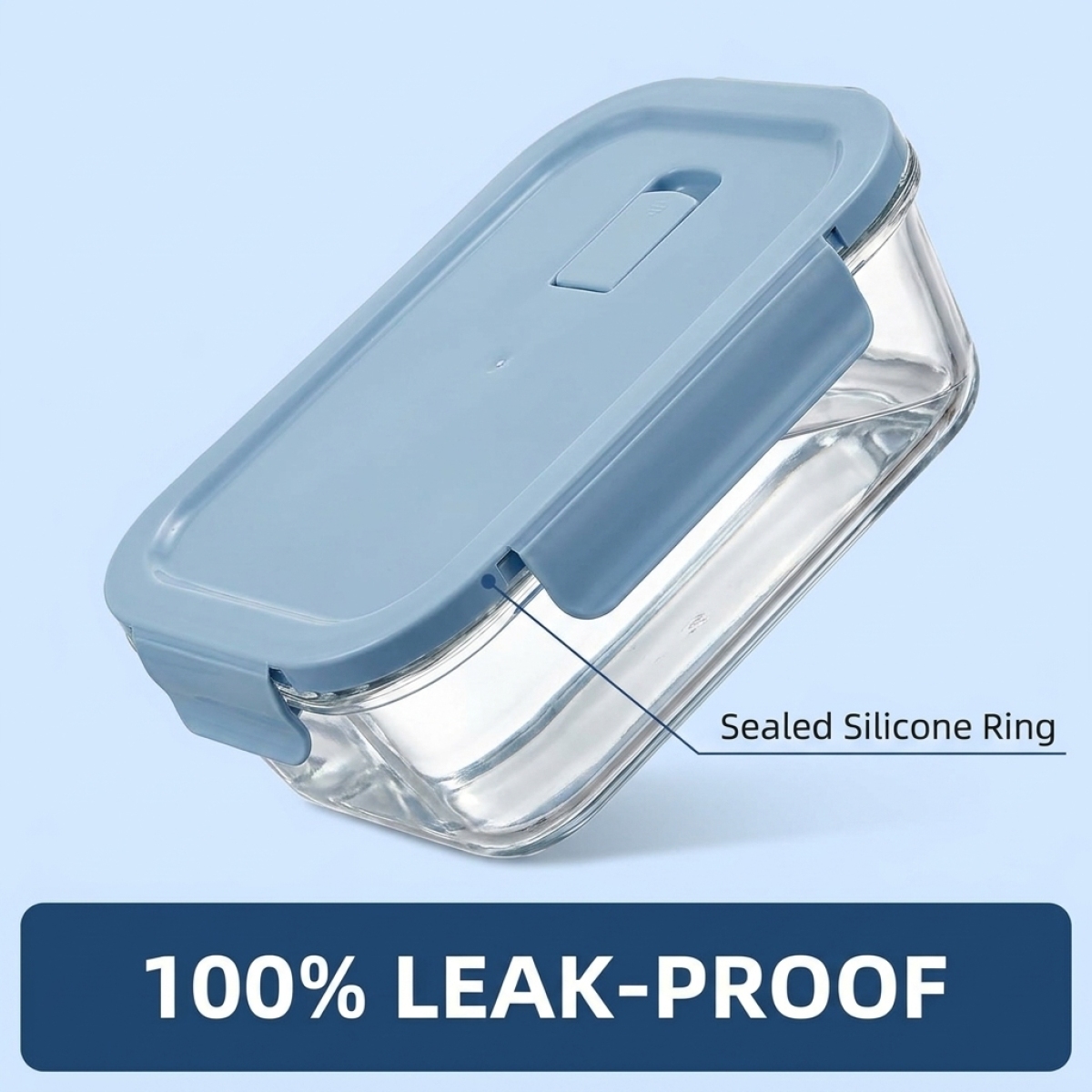 2 Pack Glass Lunch Box Borosil - đánh giá và giá Meal Prep Diet